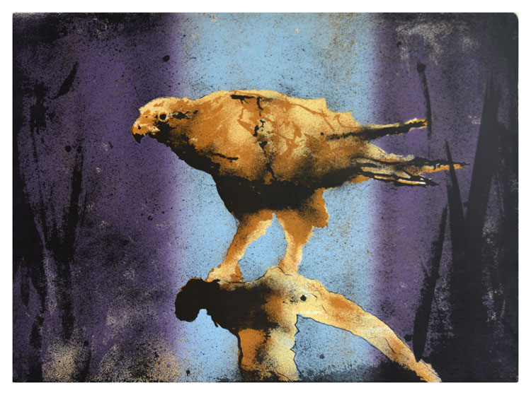 Ørn— Norske Grafikere